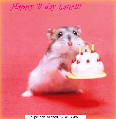 laurentiu tecuci multi ani(in parte tot ce-ti doresti buey:*:*:* fii fericit...