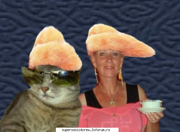 mai, nu stiu.. m-am tot gandit,  popate frumos ca pisica uke.. uite poza ei! :hi:
