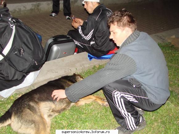 PoZe RoaD To BoTy BaLkaNs 2008 - Buun treaba cu acest caine e ca voia sa faca poza - Poze!!!