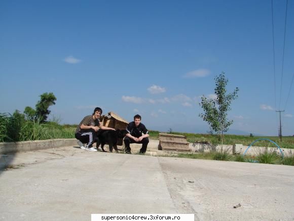 si boboc zcea: