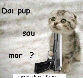 eee lasa ca pun eu poze noi-noi