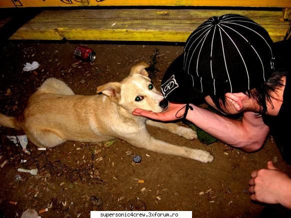 Poze Noi-Noi - caine cu ochii verzi - Poze!!!
