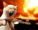 mai, deci.. m-ai dat gata, ai zis f, bine ce ai zis..
 pentru geoo/h.. mie imi plac cei care